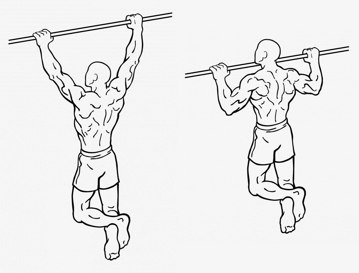 Pull-Up Progression